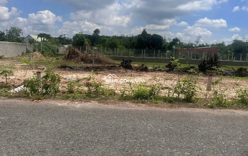 BÁN NHANH LÔ ĐẤT ĐƯỜNG CÂY TRÔM MỸ KHÁNH 200M2 GIÁ  THƯƠNG LƯỢNG